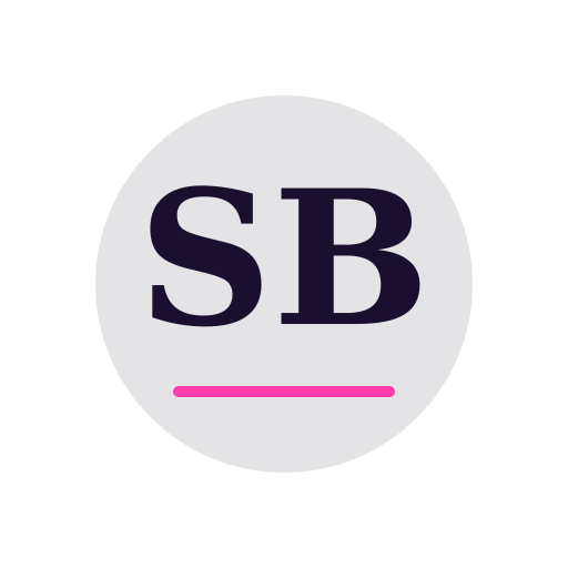 Silver Bridge Dryer Cleaning Services logo